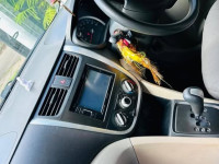 Suzuki Celerio vxi AMT 2014 Car for sale Kandana