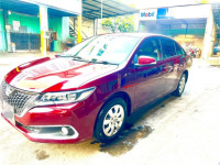Toyota Allion 260 2017 Car for sale Colombo